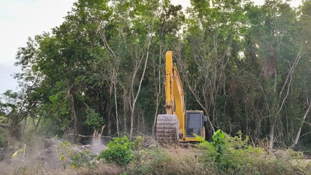 Constructora viola clausura de Profepa y continúa devastación de selva en Playa del Carmen