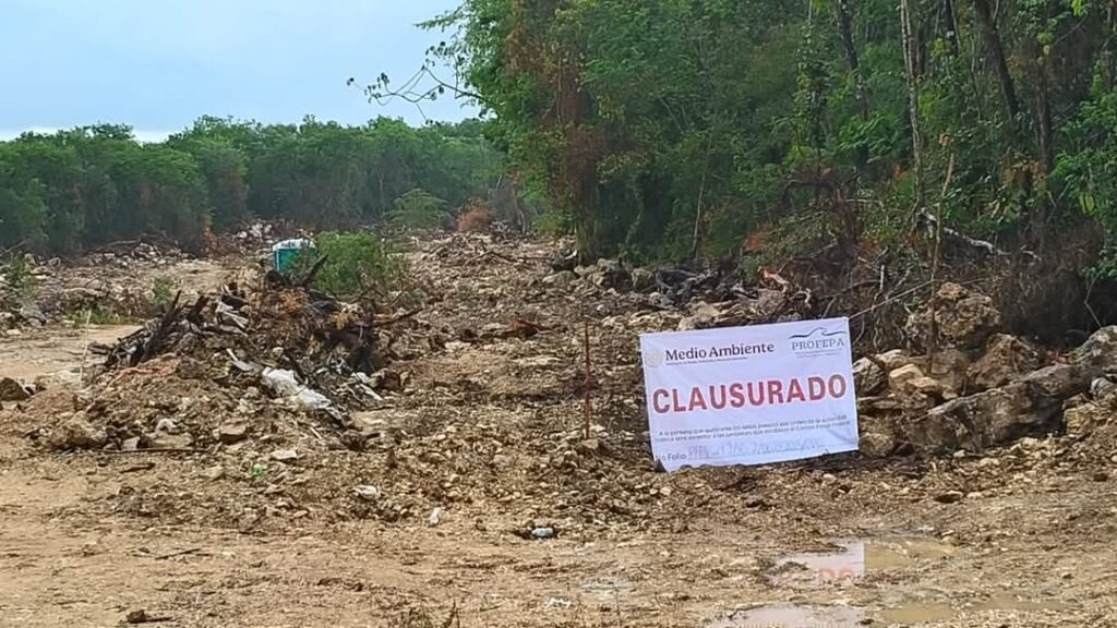 Constructora viola clausura de Profepa y continúa devastación de selva en Playa del Carmen
