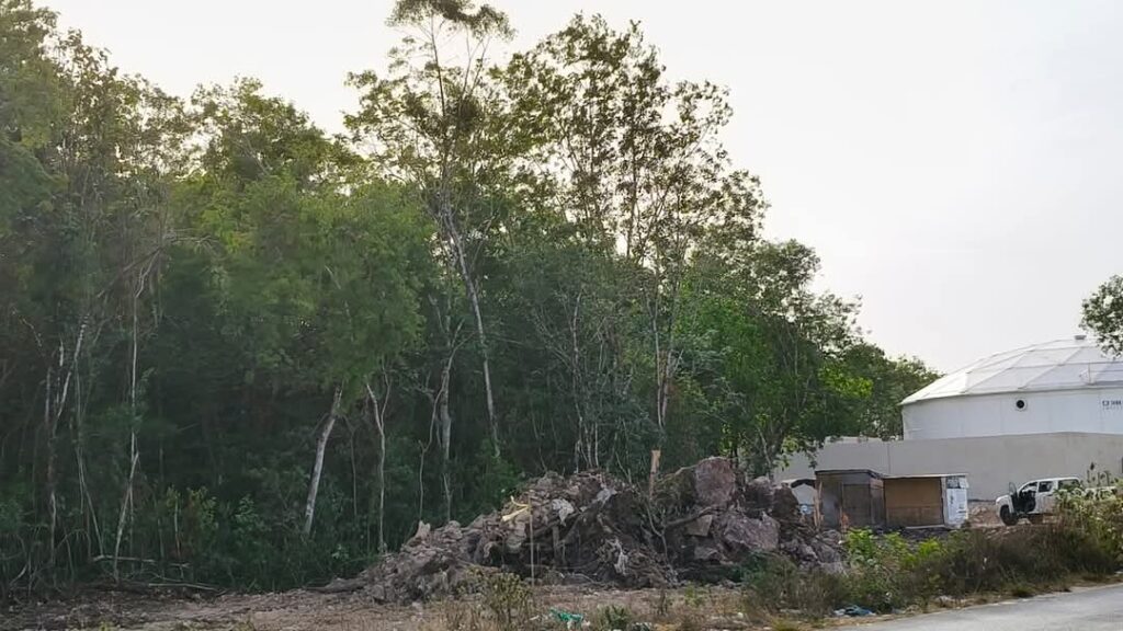 Constructora viola clausura de Profepa y continúa devastación de selva en Playa del Carmen