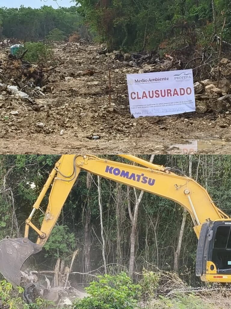 Constructora viola clausura de Profepa y continúa devastación de selva en Playa del Carmen