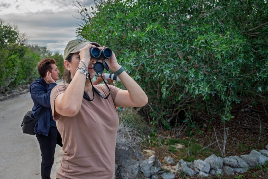 Refuerza la FPMC el monitoreo de aves en Punta Sur