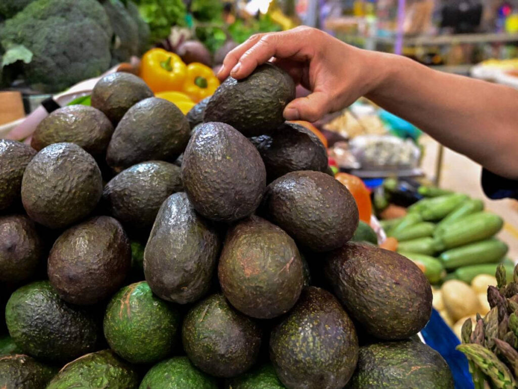 México abre las puertas de Brasil para su aguacate Hass