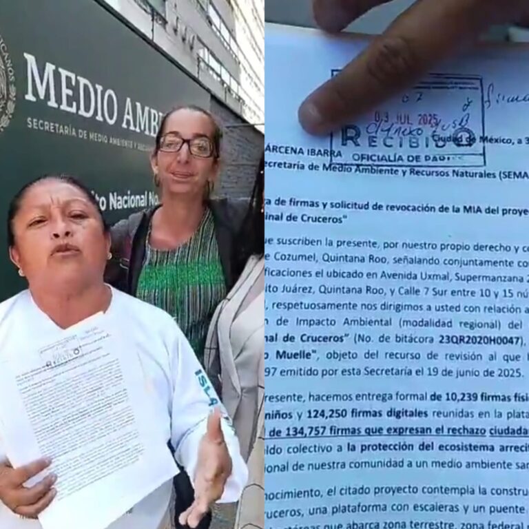 Cozumeleños entregan firmas a Semarnat para frenar el cuarto muelle