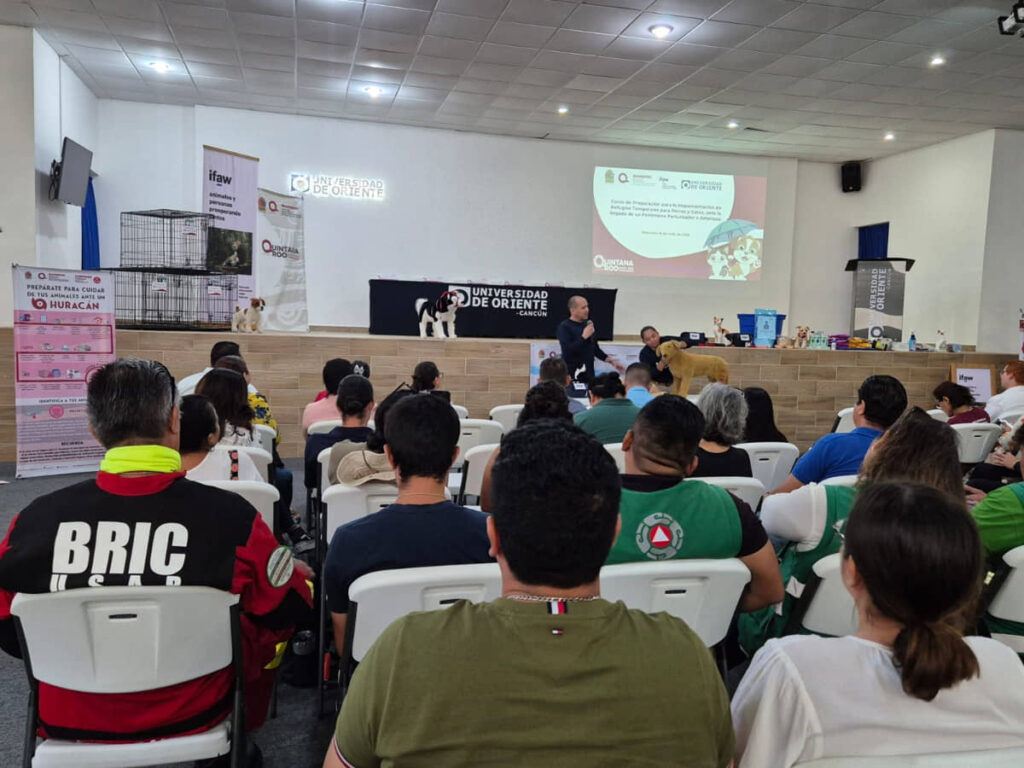 Se prepara Quintana Roo para proteger a perros y gatos durante esta temporada de huracanes