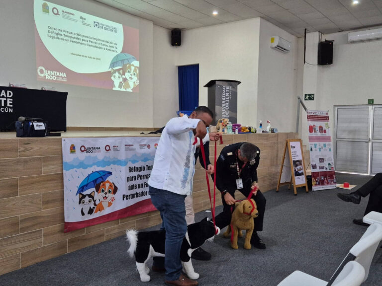 Se prepara Quintana Roo para proteger a perros y gatos durante esta temporada de huracanes