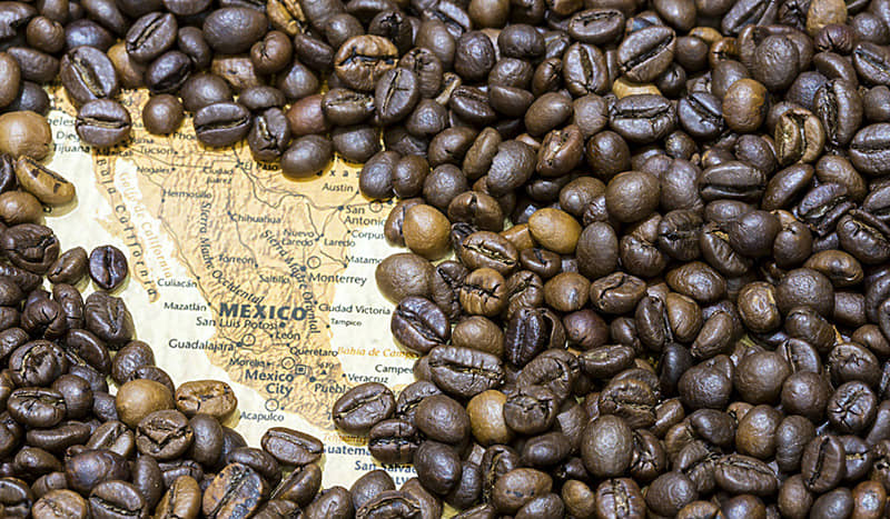Café mexicano alcanza valor histórico en exportaciones