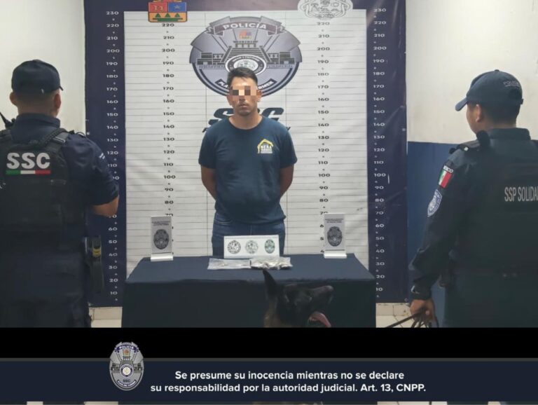 Detecta binomio canino a sujeto con mariguana en Villas del Sol
