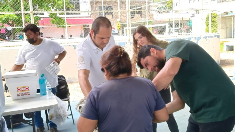 Refuerzan campaña de vacunación antirrábica en Playa del Carmen