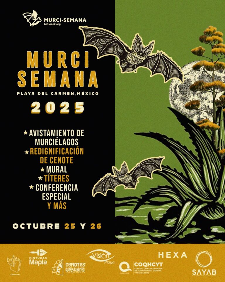 Cenotes Urbanos se une a la Murci-semana 2025 con actividades para toda la familia en Playa del Carmen