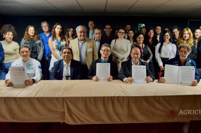 Desde 2011, el sargazo ha afectado la imagen turística y el ecosistema del Caribe Mexicano. Hoy, la Asociación de Hoteles de la Riviera Maya y el IMIPAS firman una alianza estratégica para impulsar soluciones sostenibles desde la ciencia y la industria.