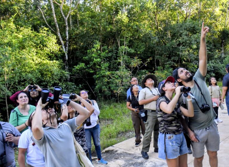 Familias participan en “Descubre: Aves, mitos y leyendas de Cozumel”, donde conocieron las historias del colibrí, el tordo ojos rojos, pájaro carpintero y el zopilote