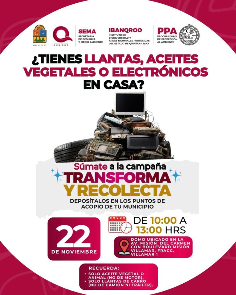 Regresa a Playa del Carmen campaña ambiental Transforma y Recolecta