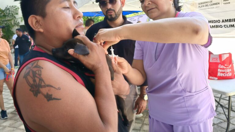 INSTALAN 100 MICROCHIPS GRATUITOS A MASCOTAS EN PLAYA DEL CARMEN PARA FOMENTAR TENENCIA RESPONSABLE